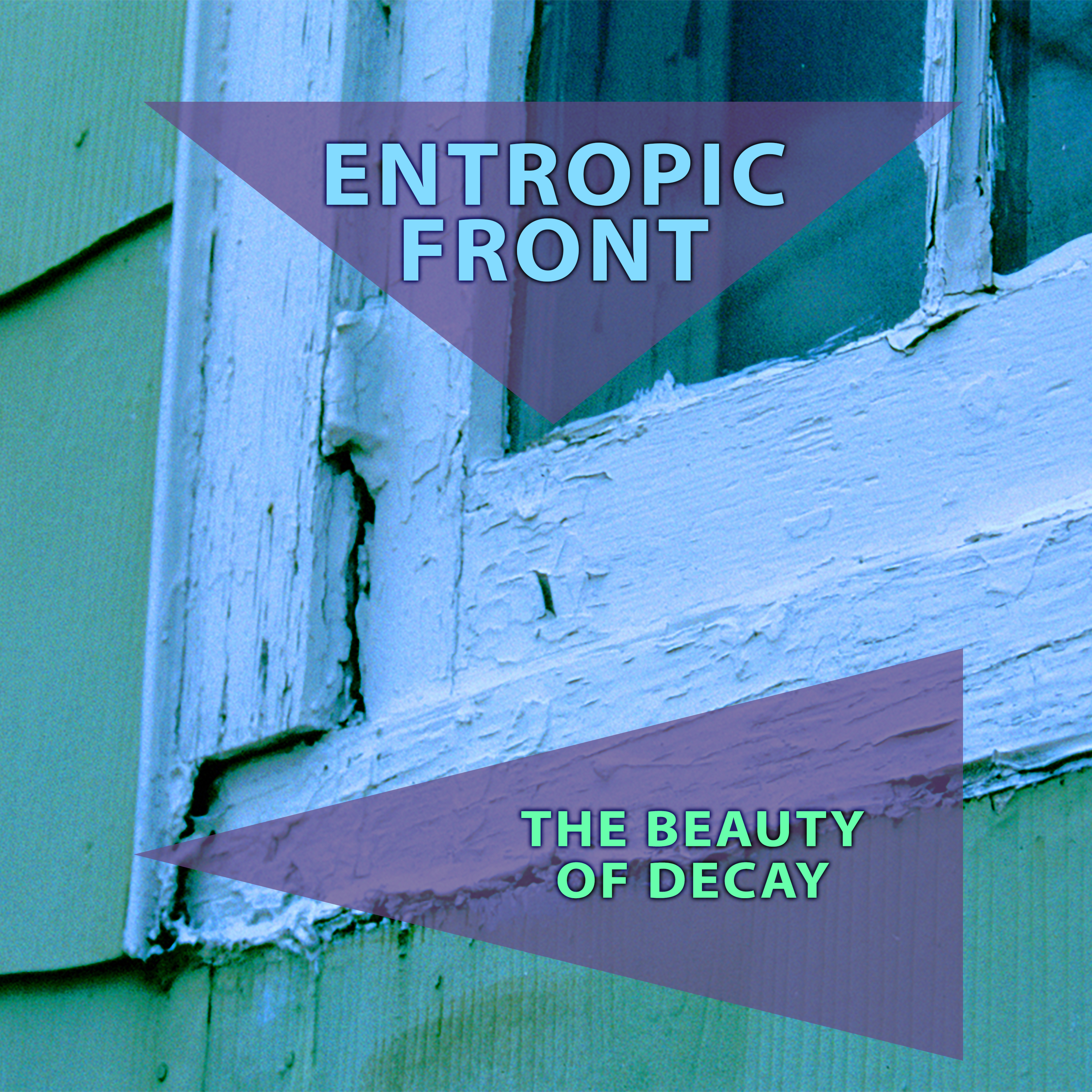 Beauty of Decay LP album, my first album arranged originally in 2009.